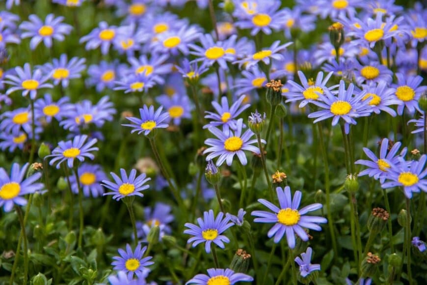 Kiparisas/shutterstock.com