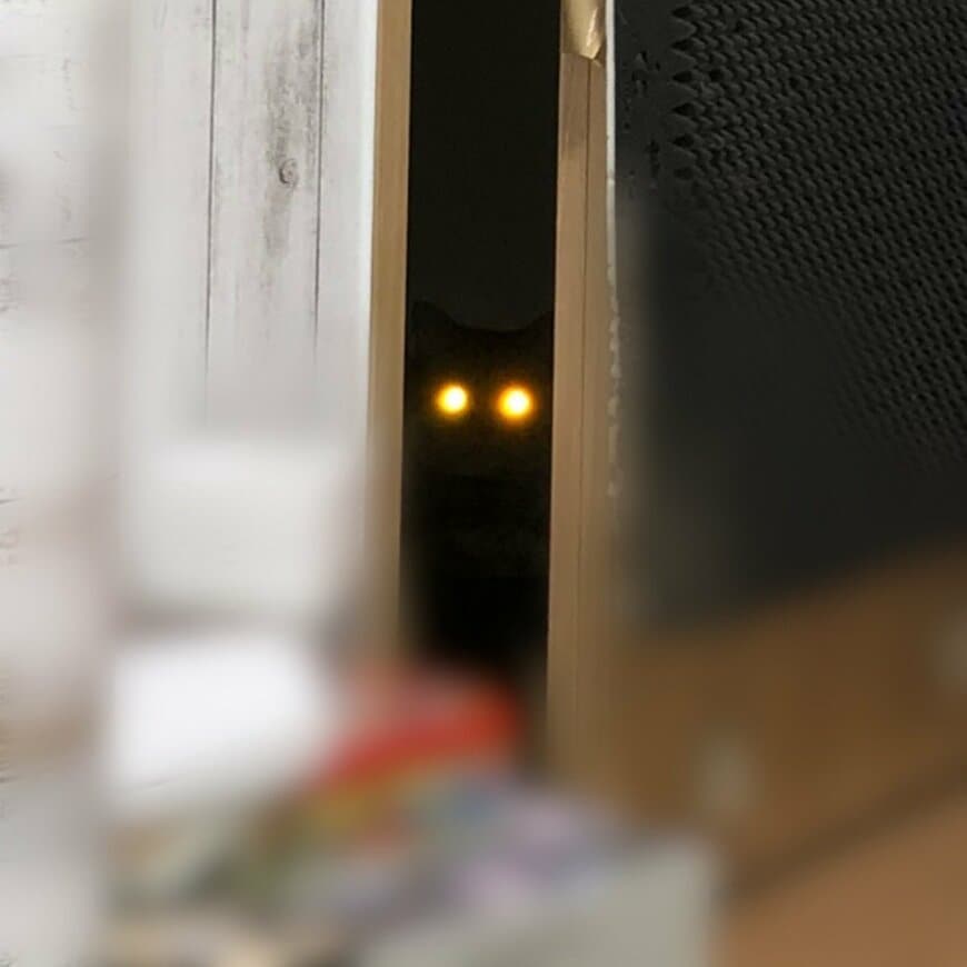 出所：@necole_cc22