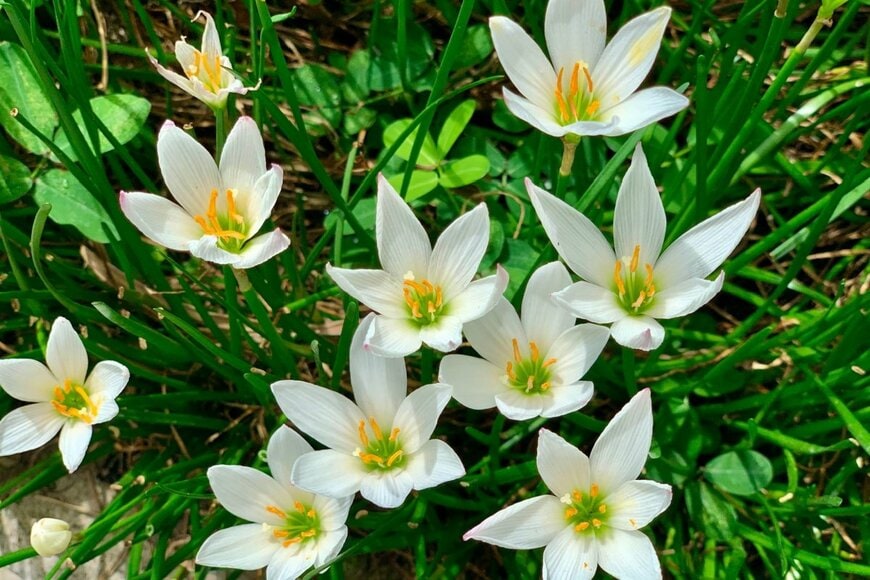 Latansa Eva/shutterstock.com