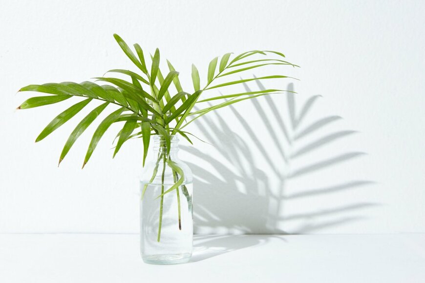 Wirestock Creators/shutterstock.com