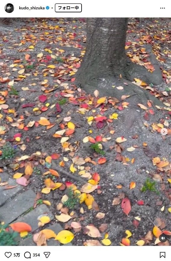 出所：工藤静香のInstagram（＠kudo_shizuka）　参照日：2025年11月25日