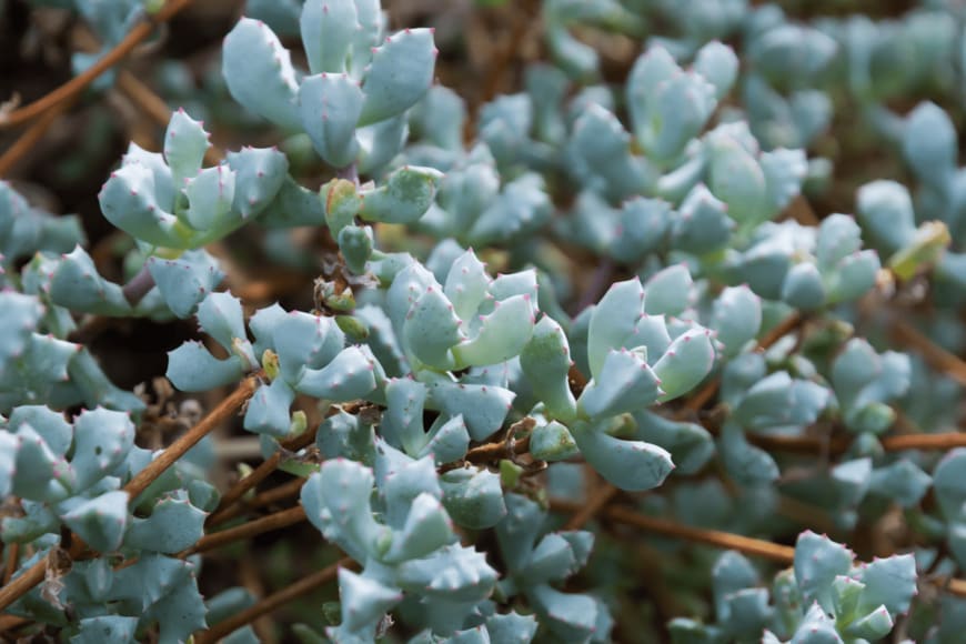 Artesia Wells/shutterstock.com