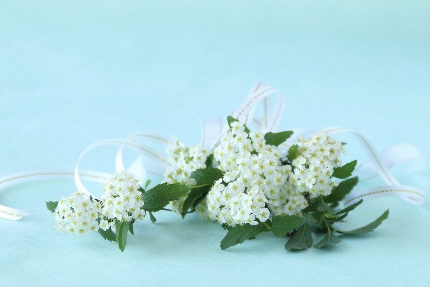 Hana-Photo/istockphoto.com