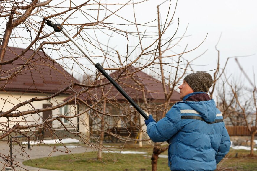 Yuliia Gornostaieva/shutterstock.com