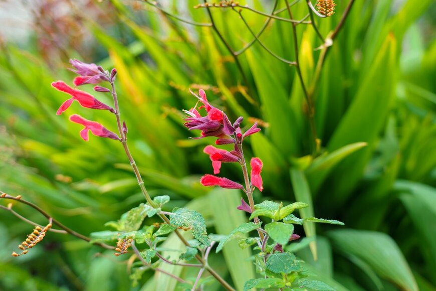 Martin Hibberd/Shutterstock.com