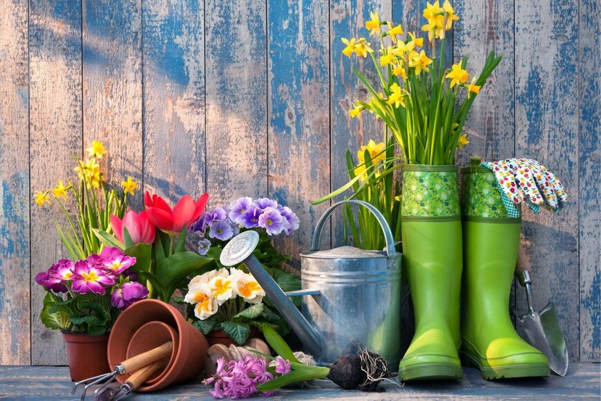 AlexRaths/istockphoto.com