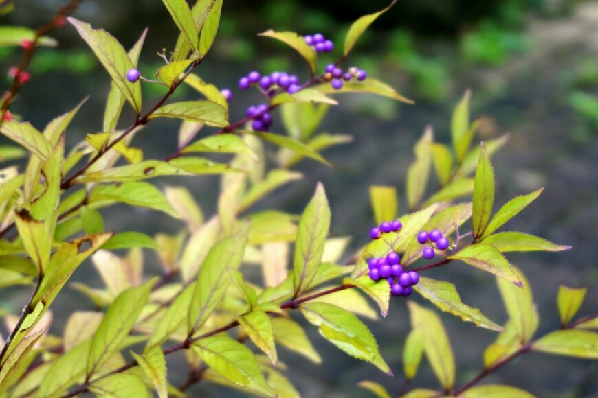 ably/shutterstock.com