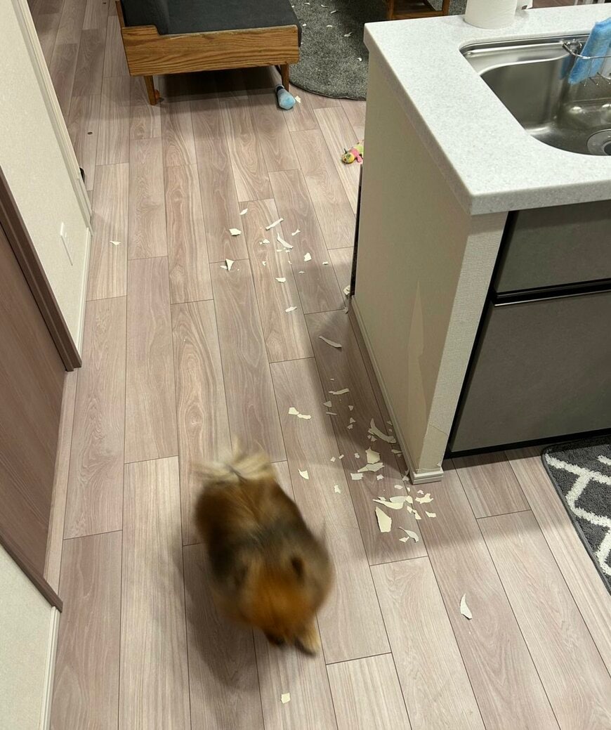 出所：@mirumo__pon