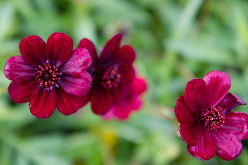 teine/istockphoto.com