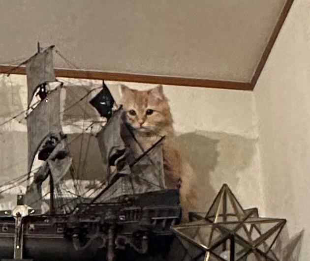 出所：@NEKOLAND13