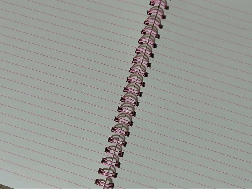 筆者撮影（キャンドゥ、SJI-33625 A5 Wリングノート 50枚 A罫 ふわふわ猫柄）