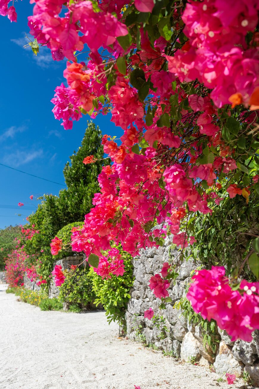 出所：@AtsushiOkinawa