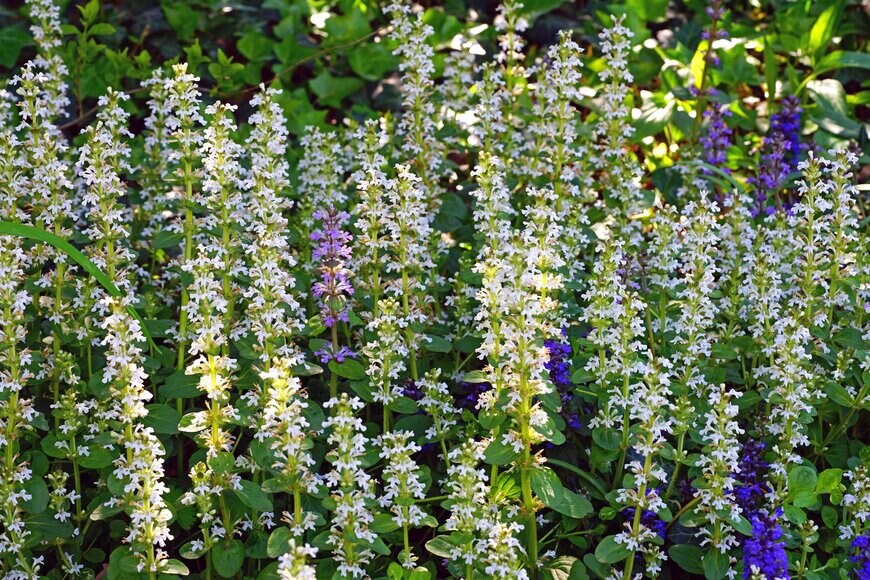 EQRoy/shutterstock.com