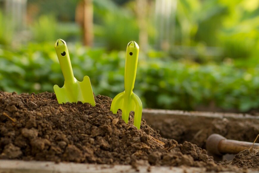 piyaset/istockphoto.com