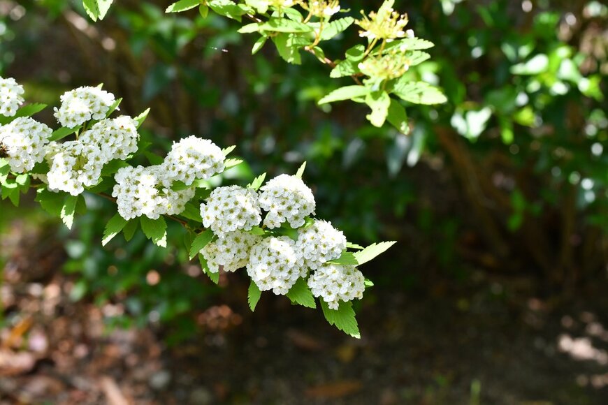 SRT101/istockphoto.com