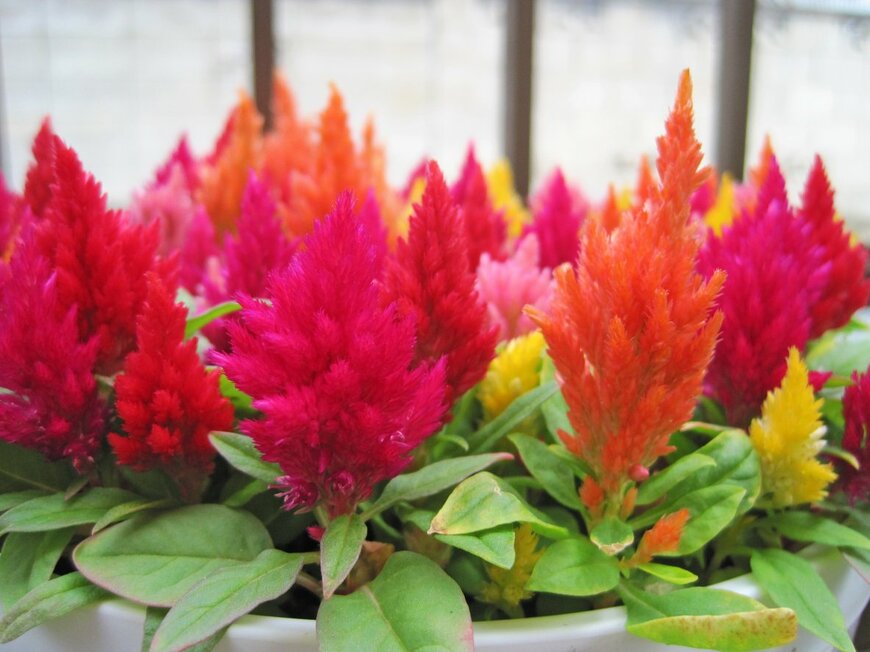 meikoKODAKA/istockphoto.com