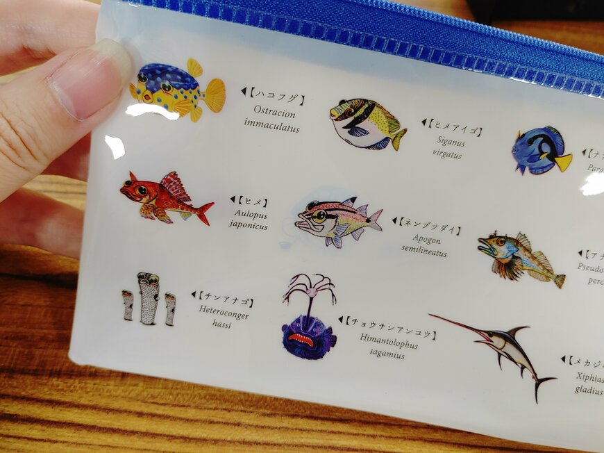 筆者撮影：Can Do（キャンドゥ）　ギョギョッ！とすギョいコラボ！「さかなクン×キャンドゥ」