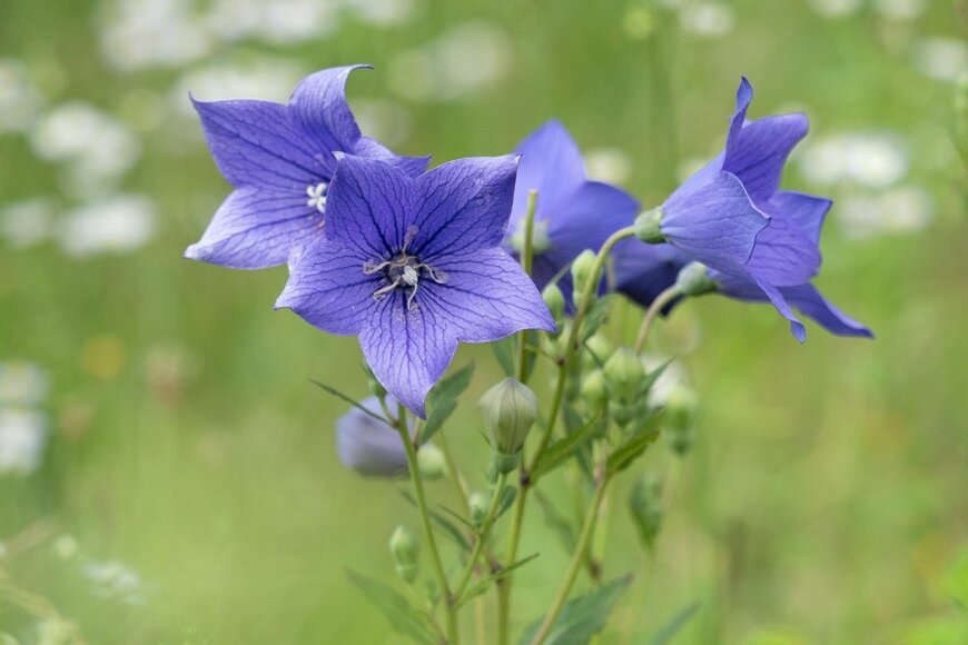 y-studio/istockphoto.com