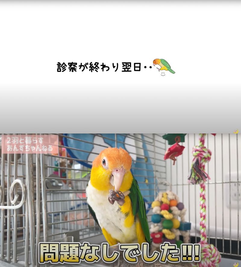 出所：@anz_omomiri