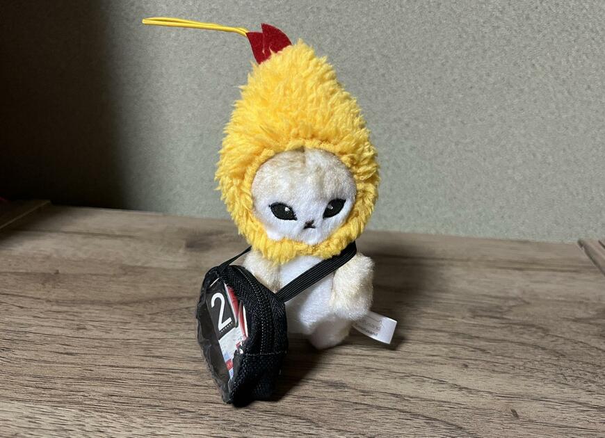 セリア、ミニショルダーバッグヲタコレ画像