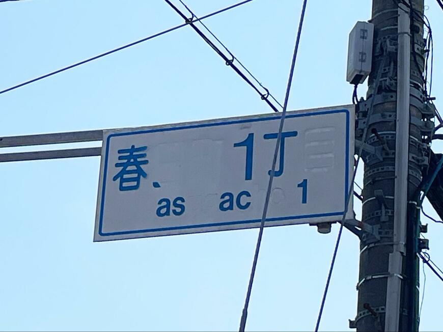 投稿の画像