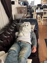 昼寝する夫と猫を目撃した妻　放ったまさかの一言に2.4万いいね