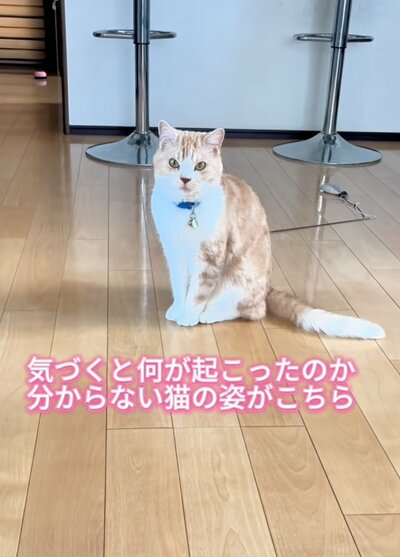 凛々しいお顔のそらくん