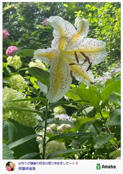 假屋崎省吾のAmebaブログ投稿