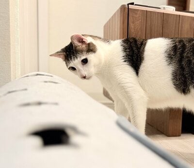 投稿の画像