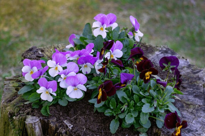 Anna Grigorjeva/istockphoto.com