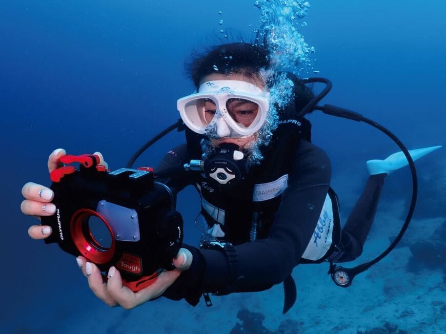 公式リリースより