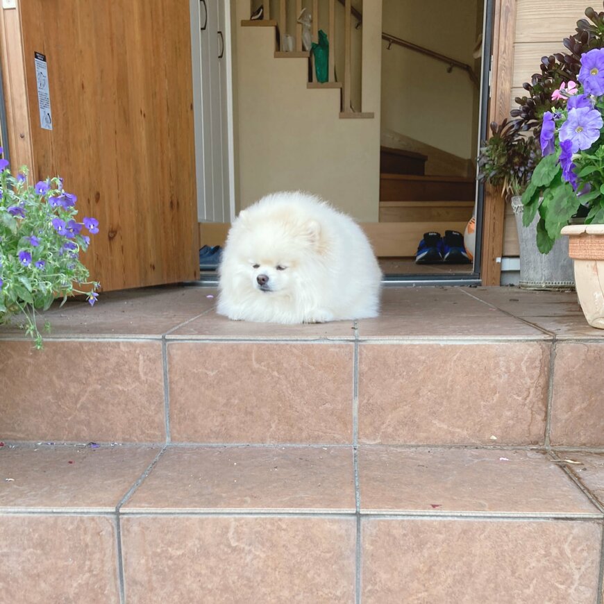 出所：@chikuwa78107742