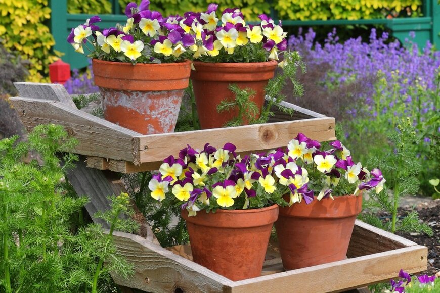 Chrislofotos/shutterstock.com