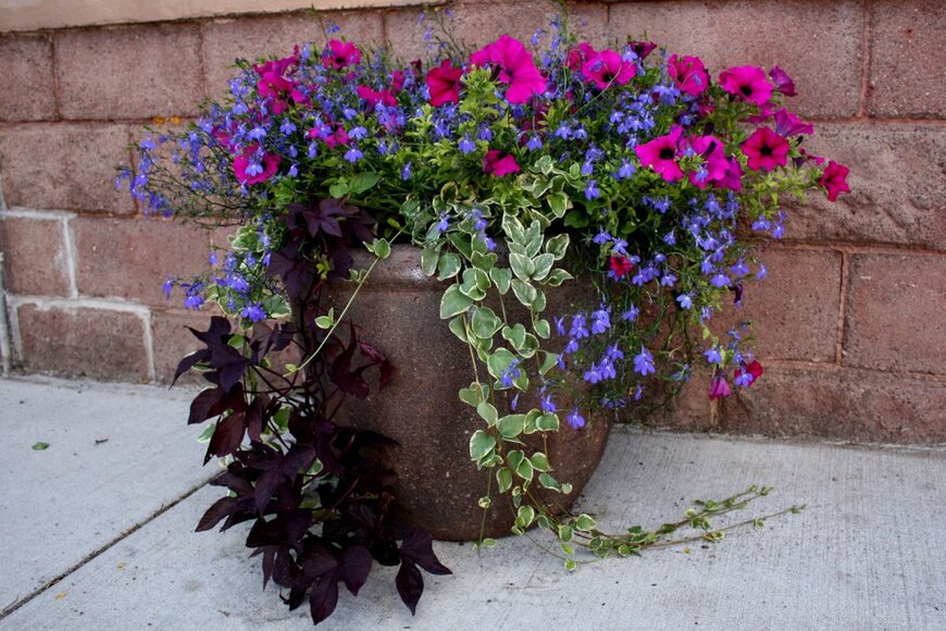 Linda McKusick/shutterstock.com