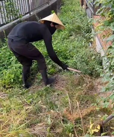 「草刈こわすぎますよね」マダニの潜む危ない〈お庭〉→プロの手作業で〈安心して歩ける快適空間〉にスッキリ！