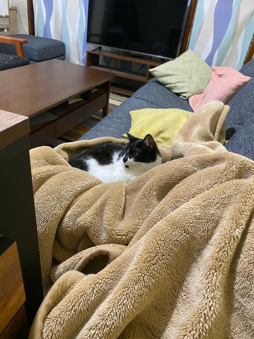 出所：@00shitemita