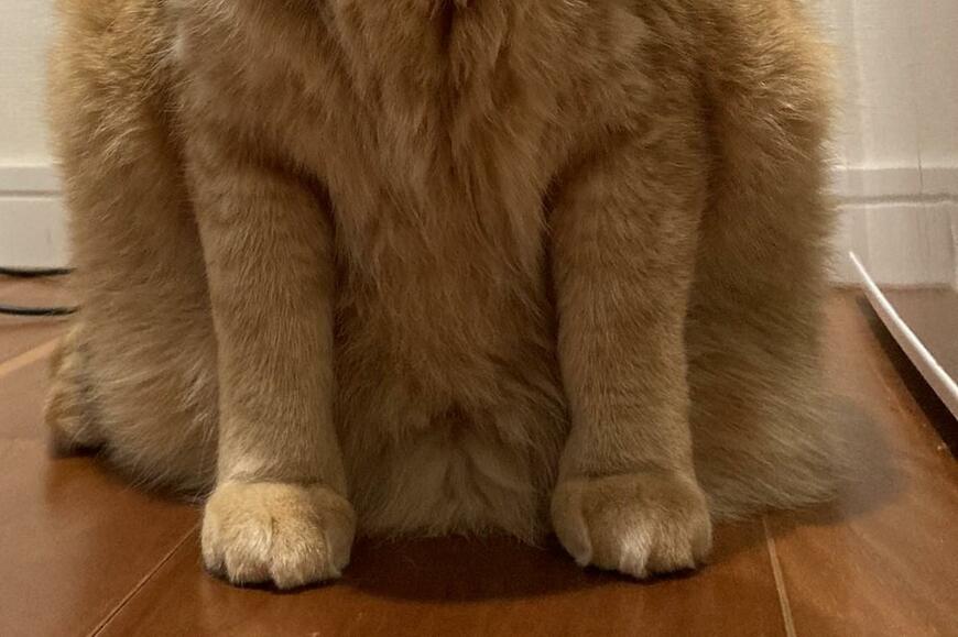 出所：@kagisuzu0531