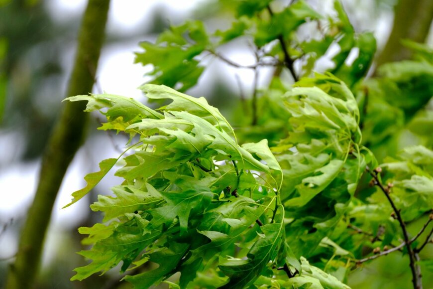 Kittyfly/shutterstock.com