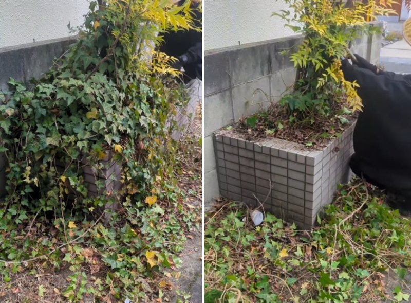 出所：@kusakari.zamurai