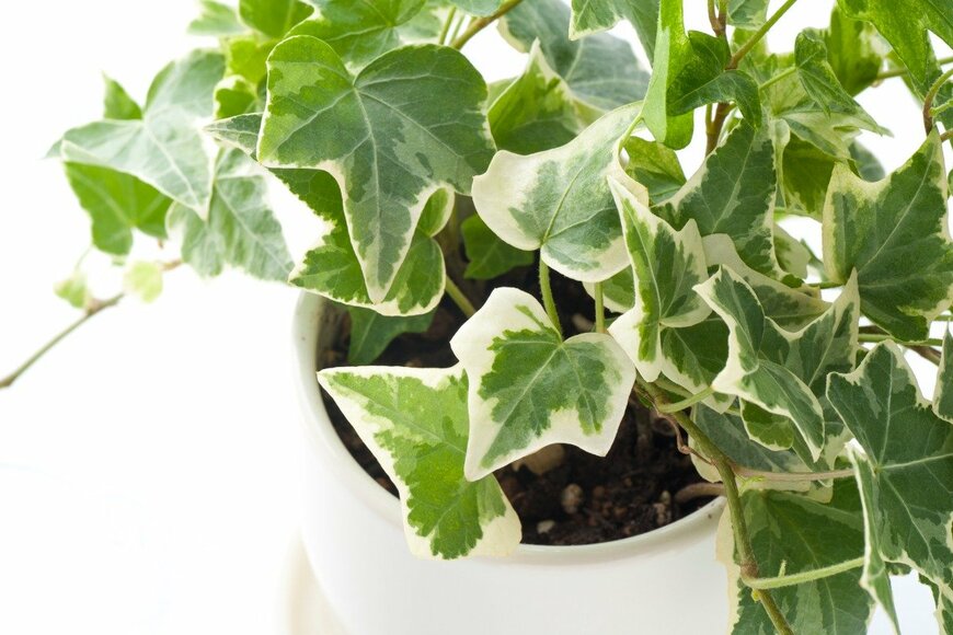 kuppa_rock/istockphoto.com