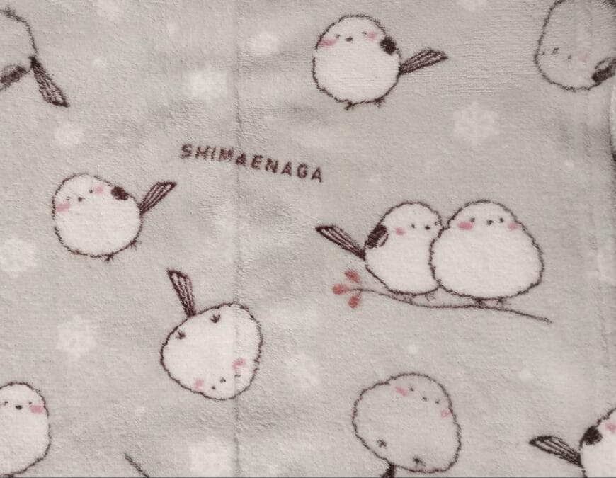 出所：筆者撮影（ダイソー、ひざかけ（サンゴマイヤー、シマエナガ））