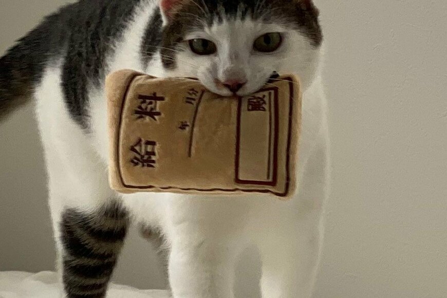 出所：@Saeroyi_cat