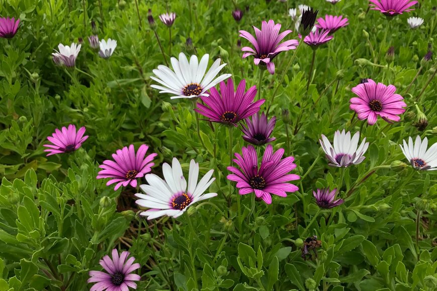 jawnhwan/Shutterstock.com