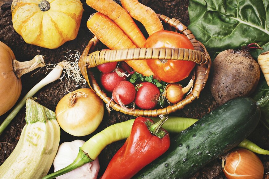 体をととのえる食材