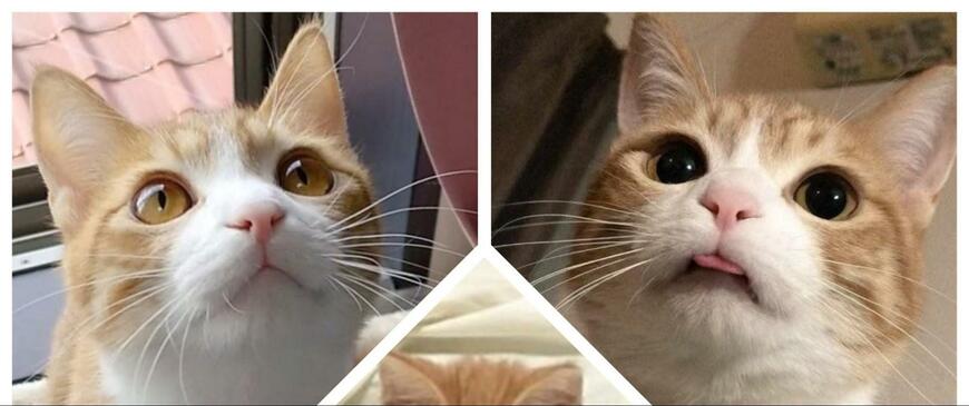 出所：@mero627puri914