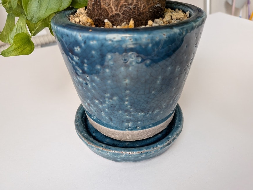 「このすき間のおかげで、植物がのびのびと育ちそうです！」