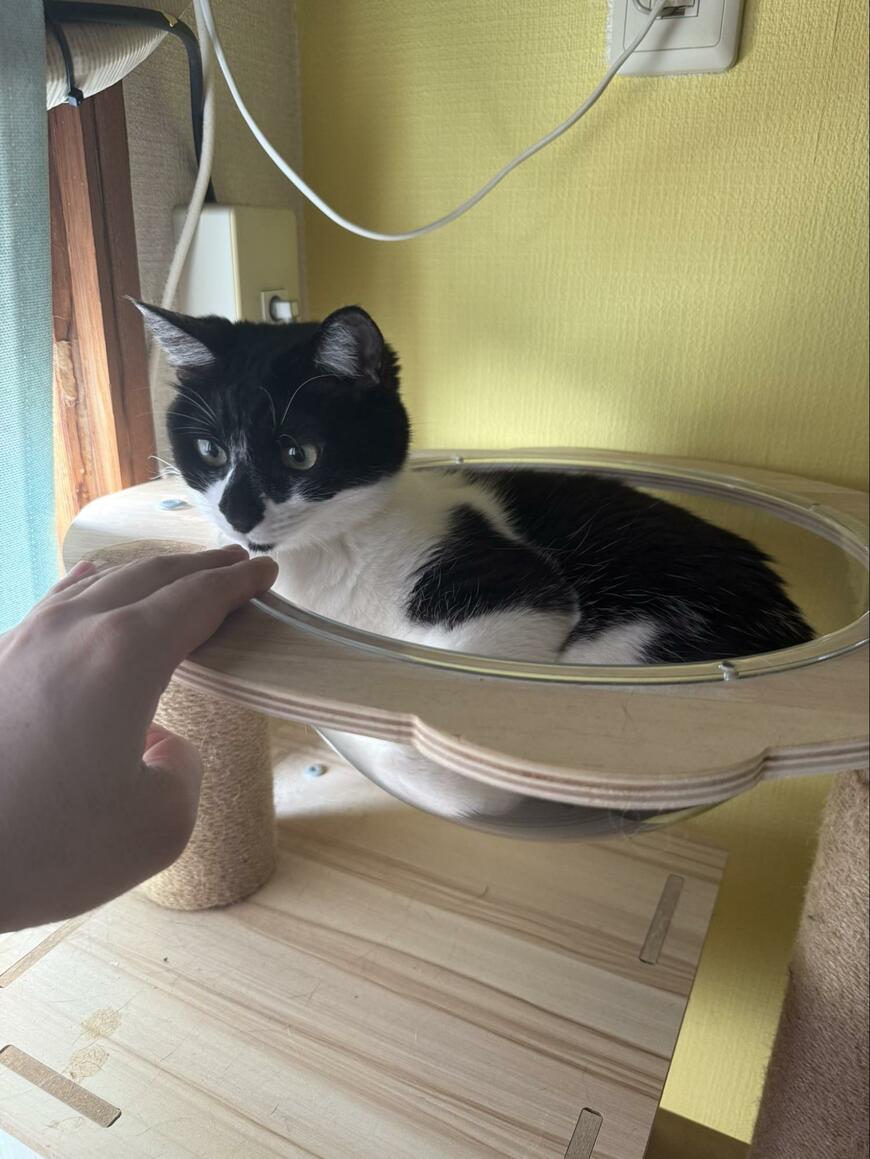 出所：@00shitemita