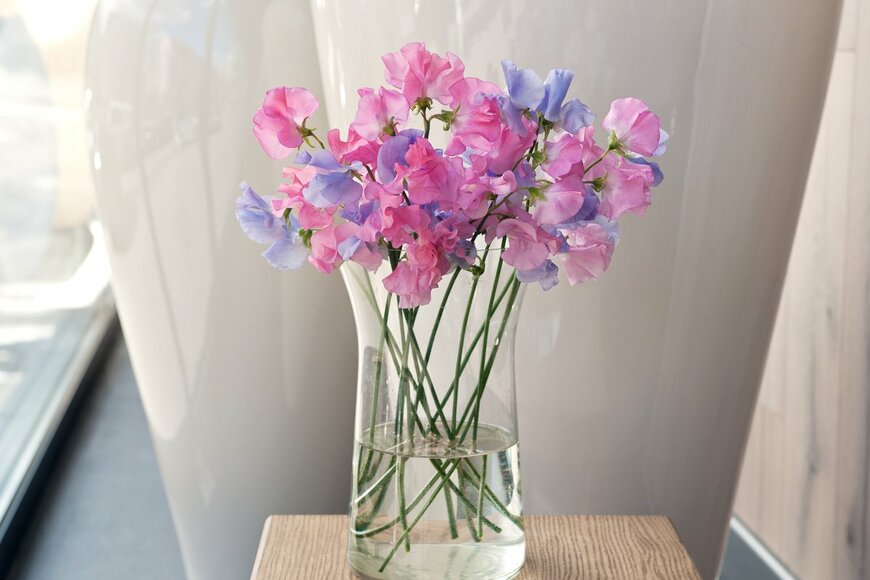 Olena Antonenko/Shutterstock.com