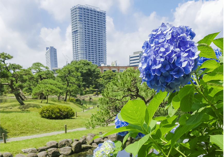 janken/shutterstock.com