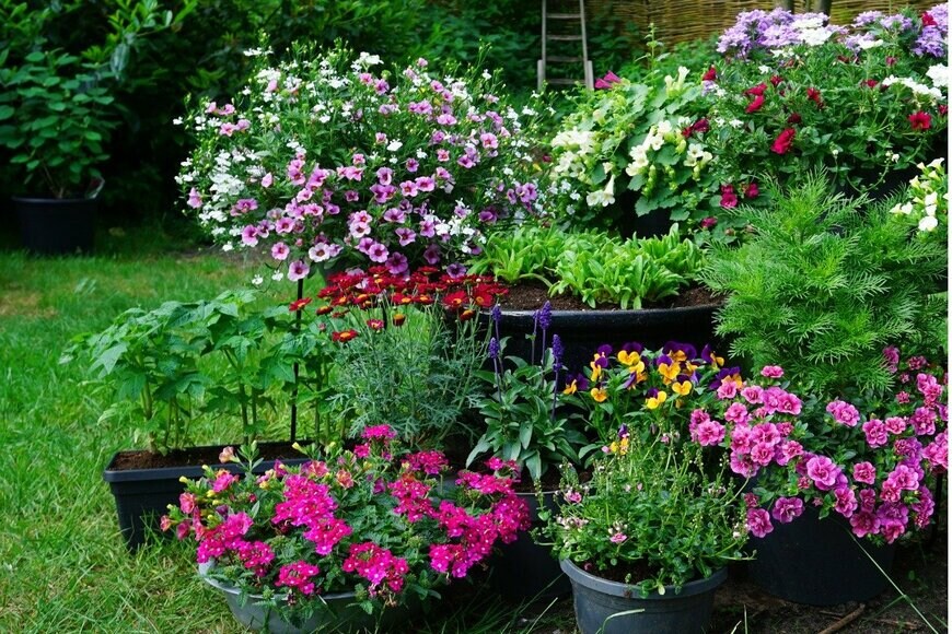 L Feddes/istockphoto.com